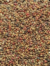 Cocoa Cherry Quinoa