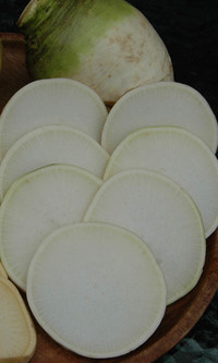 Gilfeather Turnip (Rutabaga)