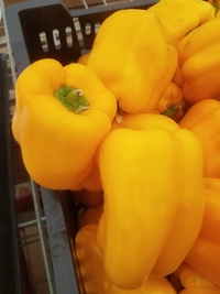 Stoplight Yellow Peppers