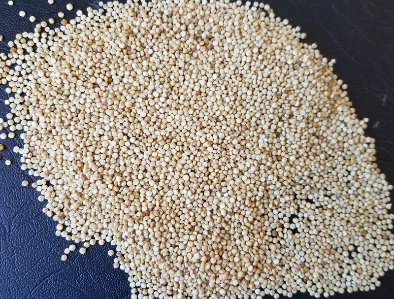 Peppermint (Quinoa)