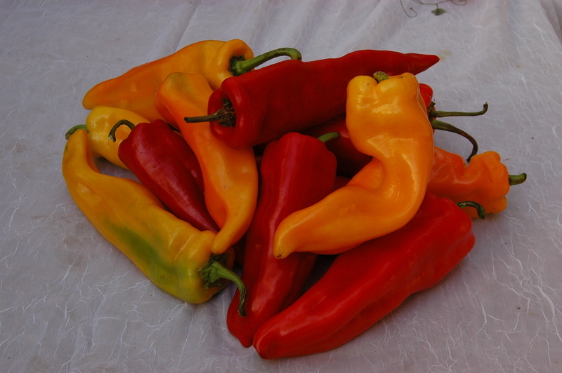Sweet Sunset Italian Mix (Peppers)
