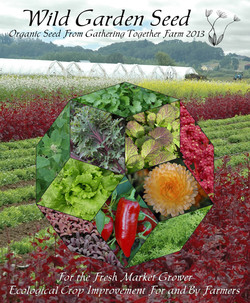 Wild Garden Seed Catalog: 2013
