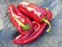 Classic Italian (Peppers)