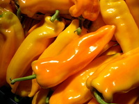 Gatherer's Gold Sweet Italian (Peppers)