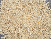 Incred White (Quinoa)