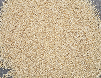 Incred White (Quinoa)