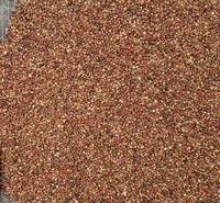 Kas Red (Quinoa)